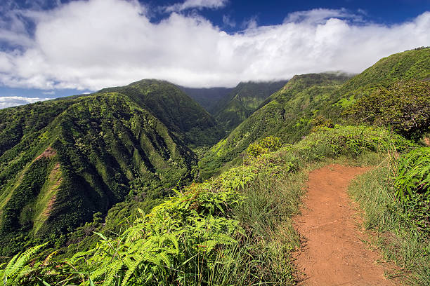 istock Waihee Ridge Trail, West Maui Mountains, Hawaii 469732218