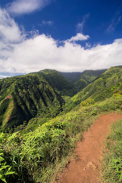 istock Waihee Ridge Trail, West Maui Mountains, Hawaii 469732234