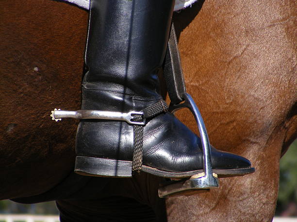 istock Close up of rider leg with spur 469733431