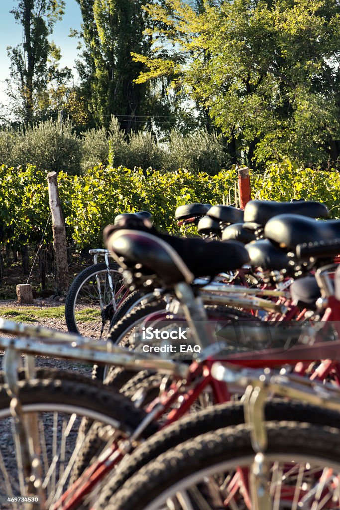 Tourism bicycles Bicycles parked in front of a vineyard. Tourism in wine roads, Mendoza, Argentina. 2015 Stock Photo