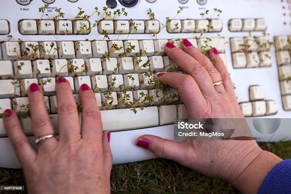 Plant In Keyboard Typing With Plants Stock Photo - Download Image Now - Computer Keyboard ...