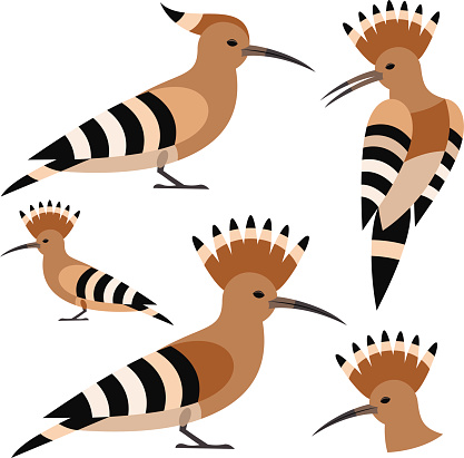 Abstract Hoopoe Hoopoe Stock Illustration - Download Image Now - Hoopoe, 2015, Abstract ...