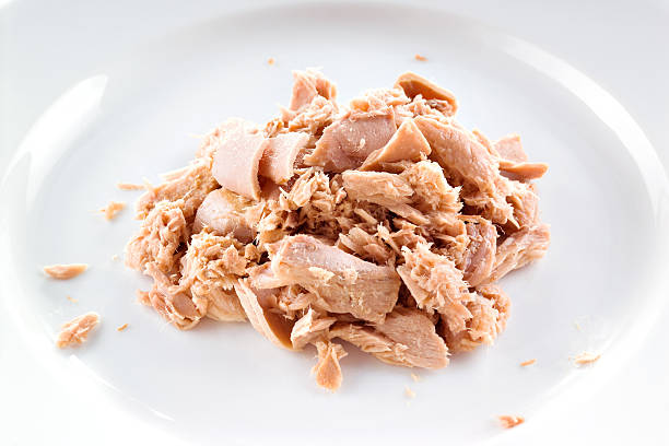 istock Tuna. canned fish on white plate 469738173