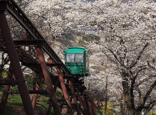 istock Slope car passing through tunnel of cherry blossom (Sakura) 469739216