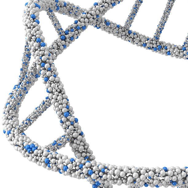 istock The structure DNA molecules in the form of balls joined 469739276