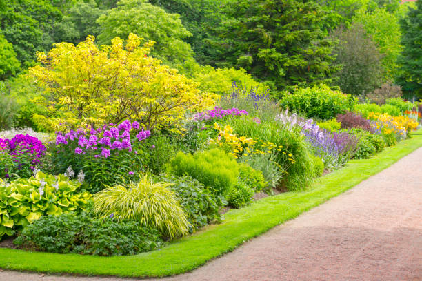 istock Beautiful garden in summer colors 469742022