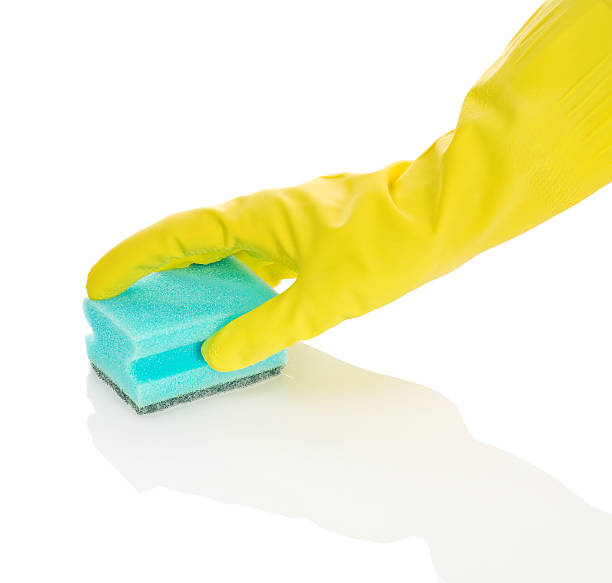 istock hand in glove with sponge 469742842