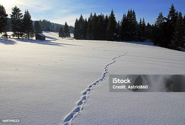 Foto de Na Neve e mais fotos de stock de Achar - Achar, Alemanha, Allgau