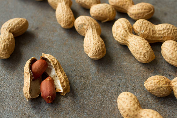 istock Peanuts in the skin and brushed on a gray background 469750798