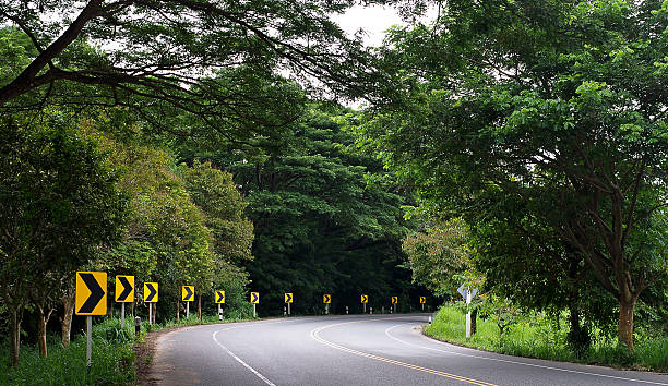 istock Road in forest, Thailand 469753276