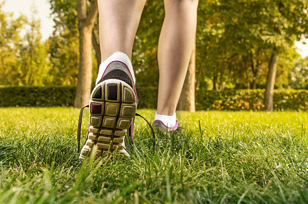 Female legs stock photo