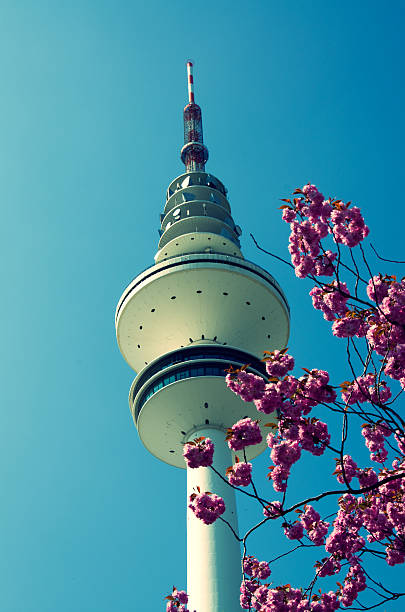 istock Hamburg television tower 469756826