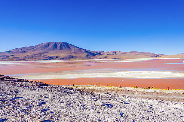 istock Laguna Colorada, Bolivia 469757124