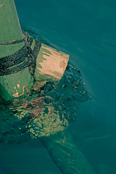 istock close-up of temporary bamboo bridge 469757856