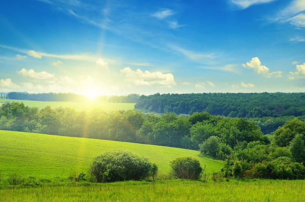 istock green field and blue sky 469759004