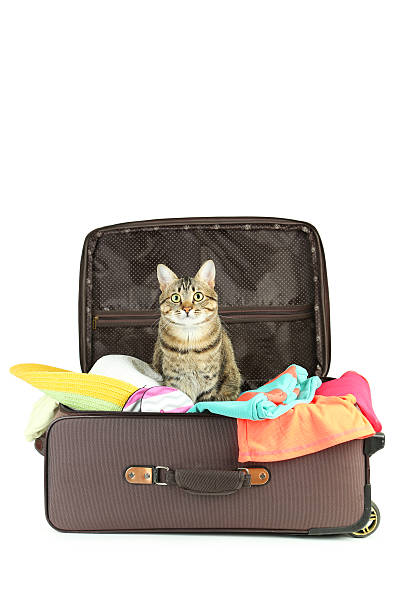 istock Suitcase with full of clothes 469767480