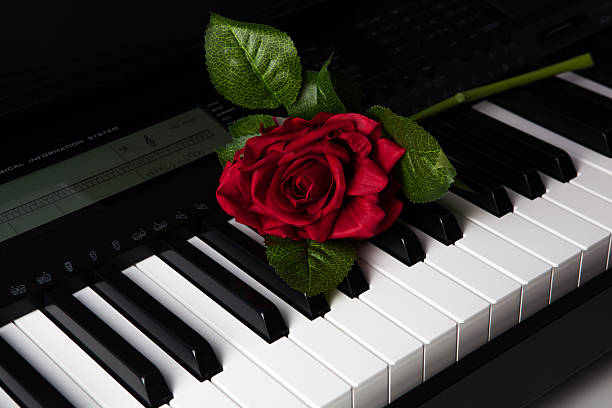 istock Piano keys and rose flower 469768071