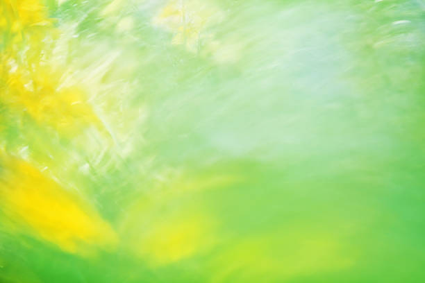 abstract sunny background stock photo