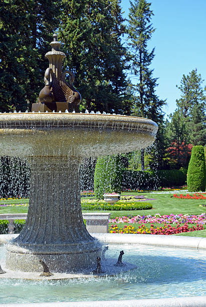 istock Water fountain in garden park 469769249