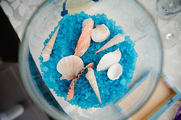 istock wedding sea and ocean decor shells 469774164