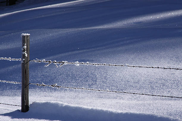 istock Hoar Frost on fence 469774333