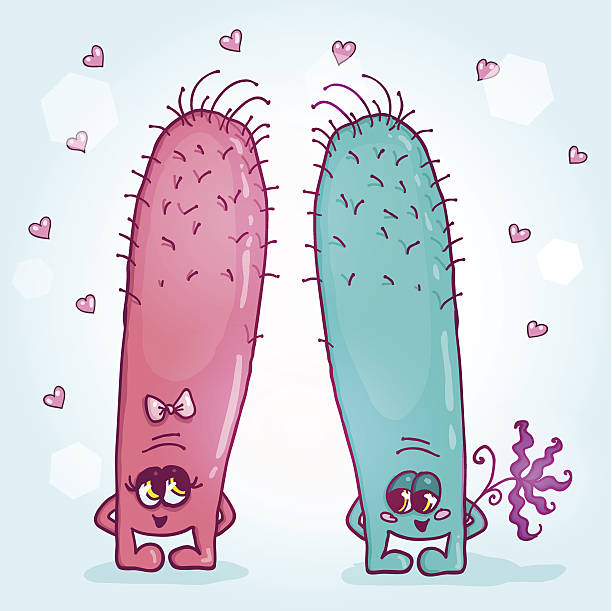 ilustraciones, imágenes clip art, dibujos animados e iconos de stock de día de san valentín tarjeta con pareja de pretty monstruos - monster alien love animal