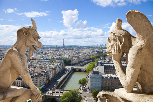 Famous Chimeras overlooking the skyline of Paris at a summer day