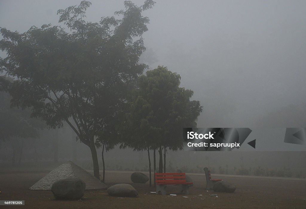 Misty Morning Misty morning scene of Leisure Valley in Chandigarh,India Chandigarh Stock Photo