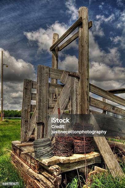 Old Western Cattle Shoot Ramp Stock Photo - Download Image Now - Agriculture, Alberta, Animal