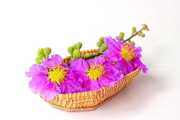 istock Flowers basket - Stock Image 469781676
