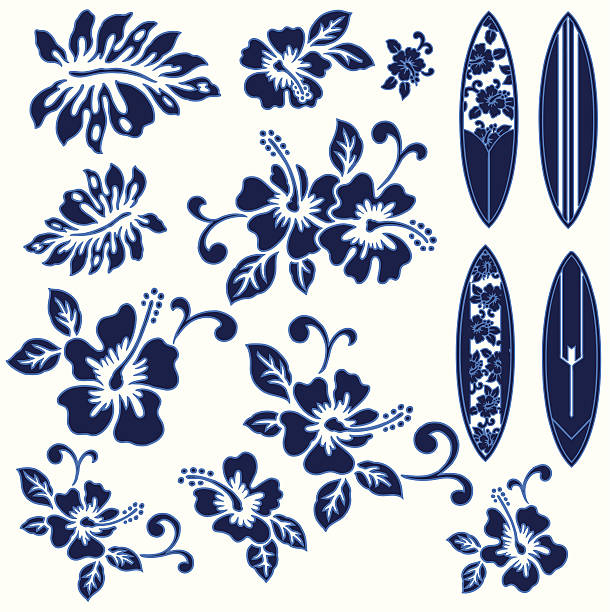 ilustrações, clipart, desenhos animados e ícones de hibiscus e uma prancha de surfe - hawaiian culture hibiscus print pattern