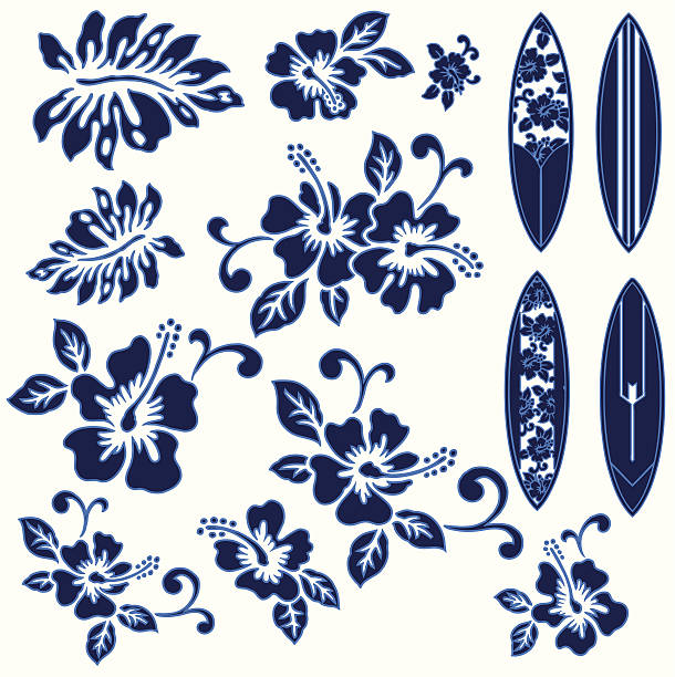 Blue hibiscus flowers and surfboards on a white background I drew Hibiscus and a surfboard for a design hibiscus stock illustrations