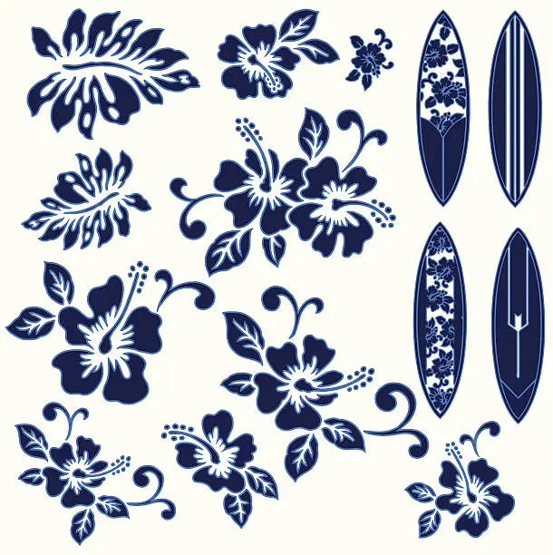 Vector illustration of Blue hibiscus flowers and surfboards on a white background