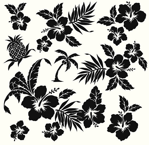 ilustrações, clipart, desenhos animados e ícones de foto de hibisco - hawaiian culture hibiscus print pattern