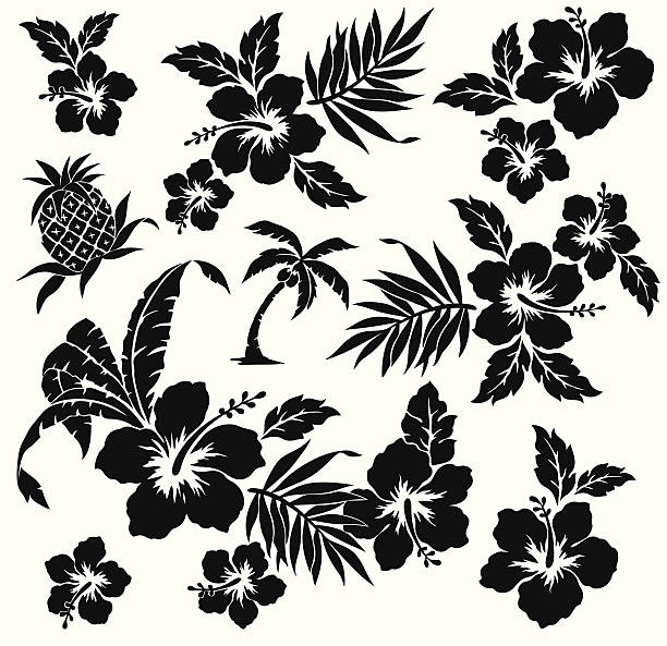 A black animated picture of the flower hibiscus on white I drew Hibiscus for a design hawaiian culture stock illustrations