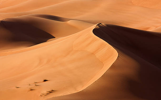 istock Dubai desert with beautiful sandunes 469783184