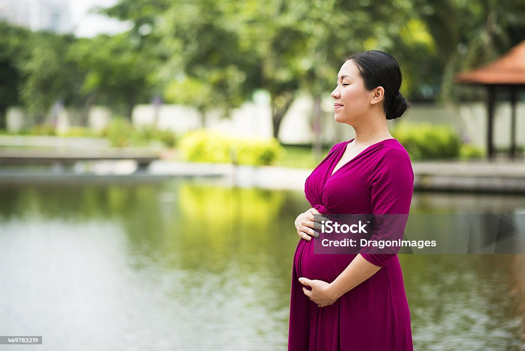 Pregnancy Copy-spaced image of a happy pregnant woman standing on the riverside Adult Stock Photo