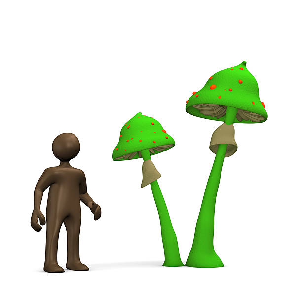 Beautiful Toadstool in its natural environment, a deep lush humid forest in the Austrian Alps