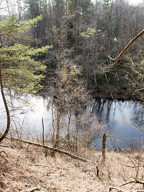 istock scenic spring colored river in country 469783550