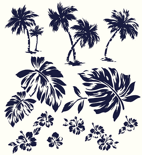 Cartoon Hawaiian Flowers Pictures Illustrations, Royalty-Free Vector  Graphics & Clip Art - iStock