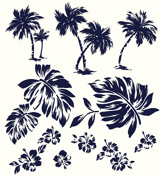 Cartoon Hawaiian Flowers Pictures Illustrations, Royalty-Free Vector Graphics & Clip Art - iStock Cartoon Hawaiian Flowers Pictures Illustrations, Royalty-Free Vector Graphics & Clip Art - iStock