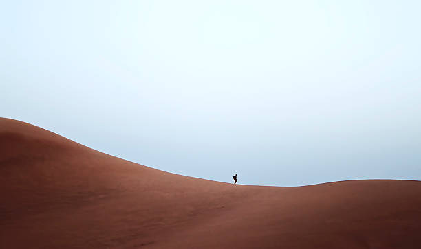 istock Dubai desert with beautiful sandunes 469786804
