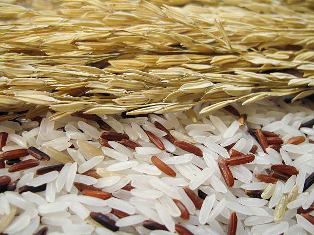 weißem und rotem reis und reispflanze auf der oberseite - rice cereal plant white rice white stock-fotos und bilder