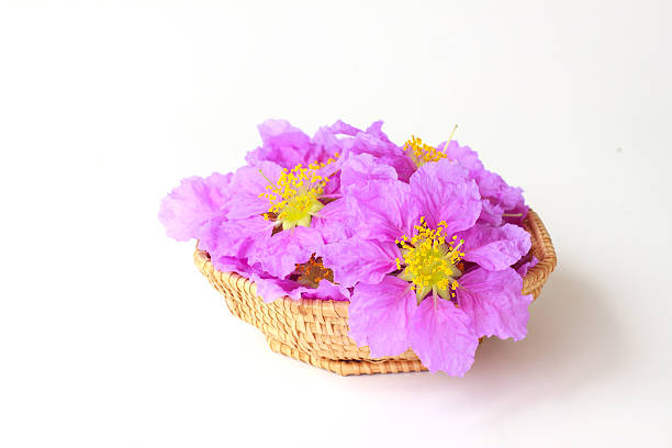 Flowers basket - Stock Image