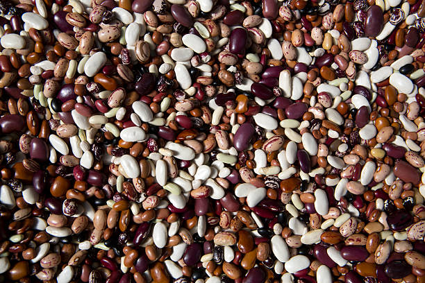 istock Ocean of Dried Beans, Overhead 469789022