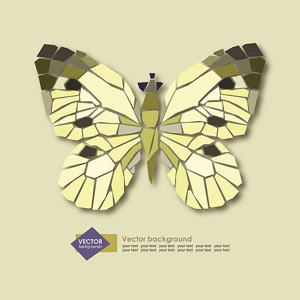 vector illustration of butterflies vector illustration of butterflies simple butterfly outline pictures stock illustrations