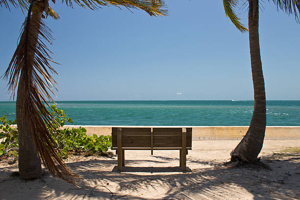 istock Bench among palm trees facing the ocean 469794031
