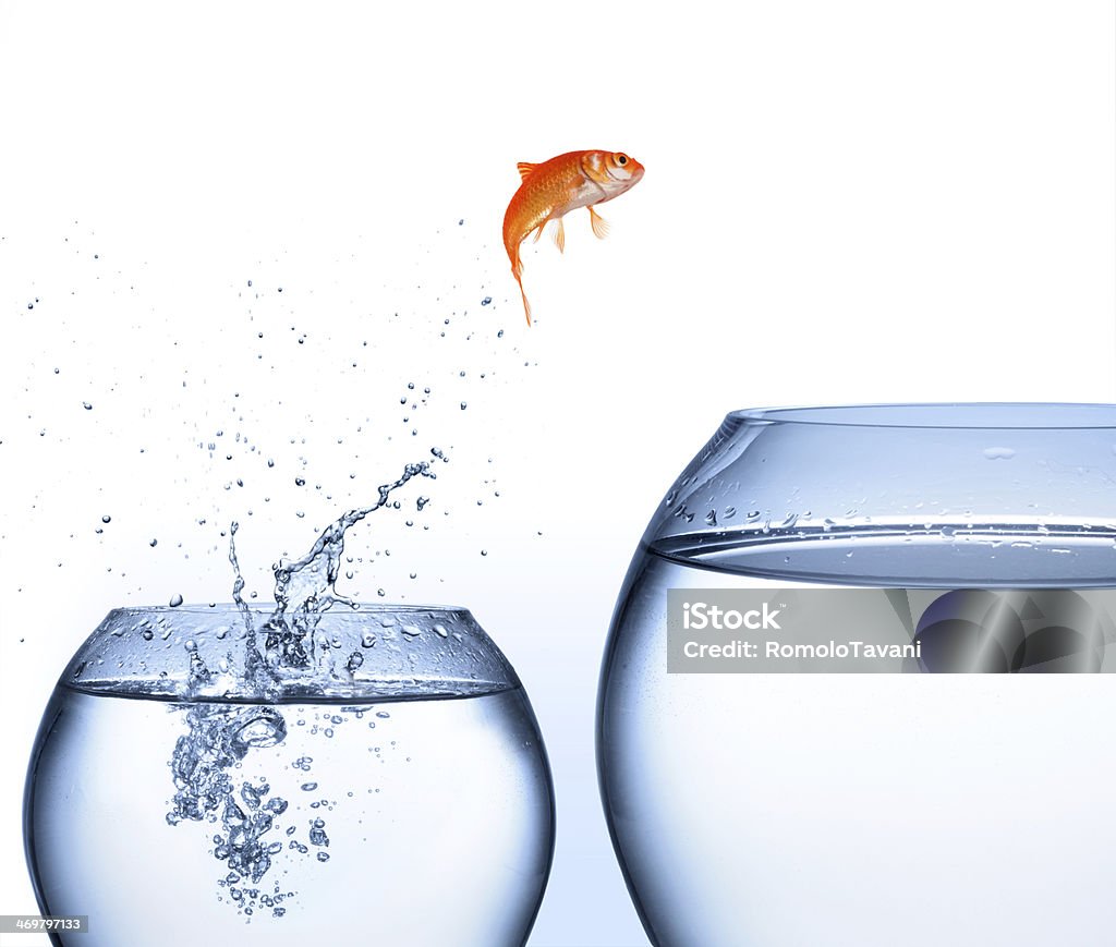 My Image 34