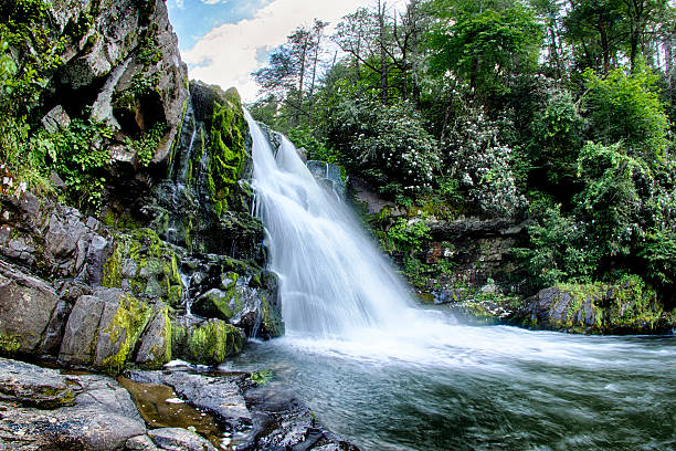 エーブラムズ滝 - waterfall great smoky mountains great smoky mountains national park tennessee ストックフォトと画像