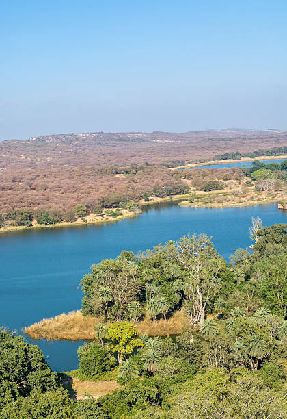 istock view of Ranthambhore National Park 469799388
